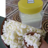 قارچ کفیر