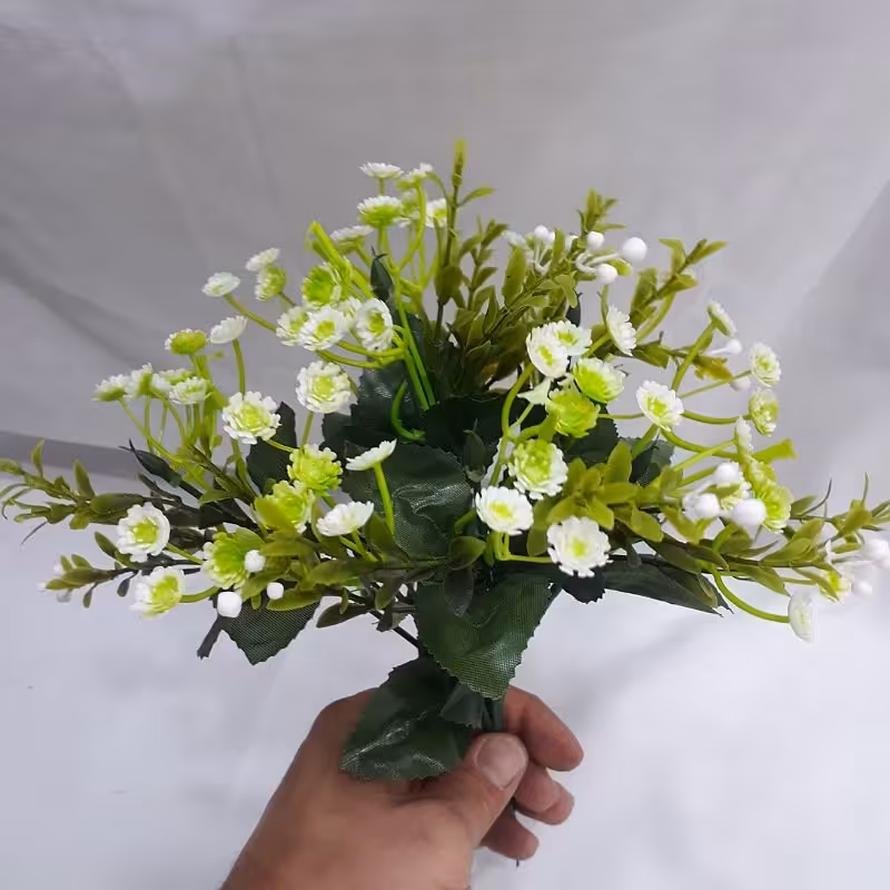 بوته شکوفه عروس