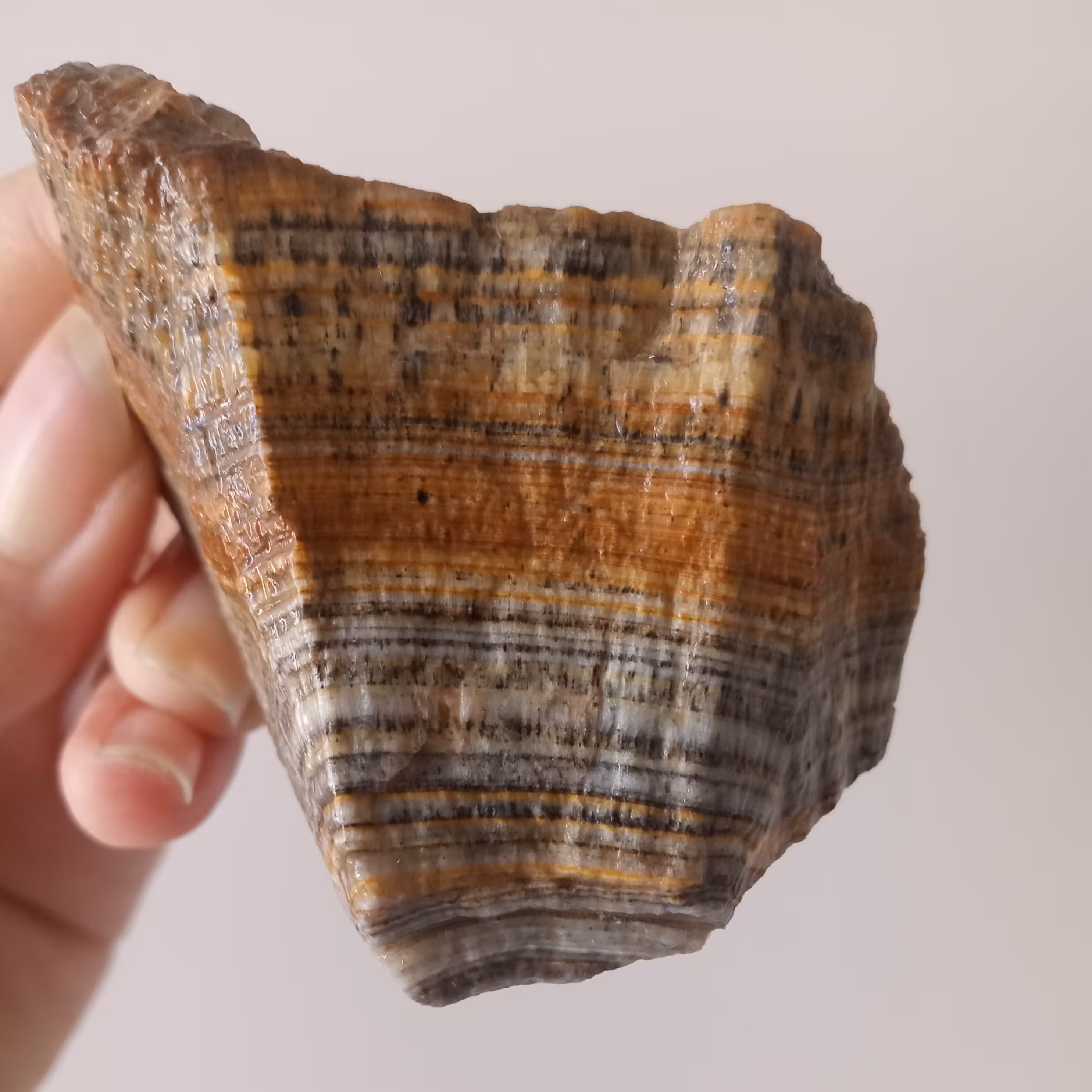 سنگهای ارگونیت چشم ببر 