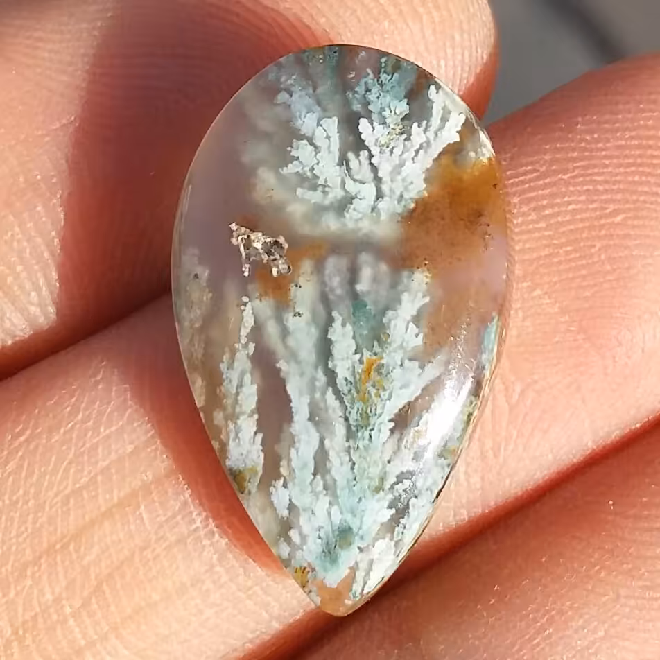 نگین شجر شکوفه هفت رنگ با شجر های واضح و بسیار زیبا کد 10167