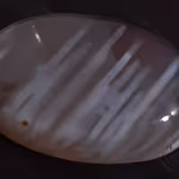 عقیق رتیل دار