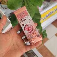 پرایمر حلزون و گل رز