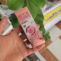 پرایمر حلزون و گل رز