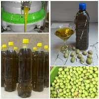 روغن زیتون اعلا امساله مازند مزرعه(850گرمی)