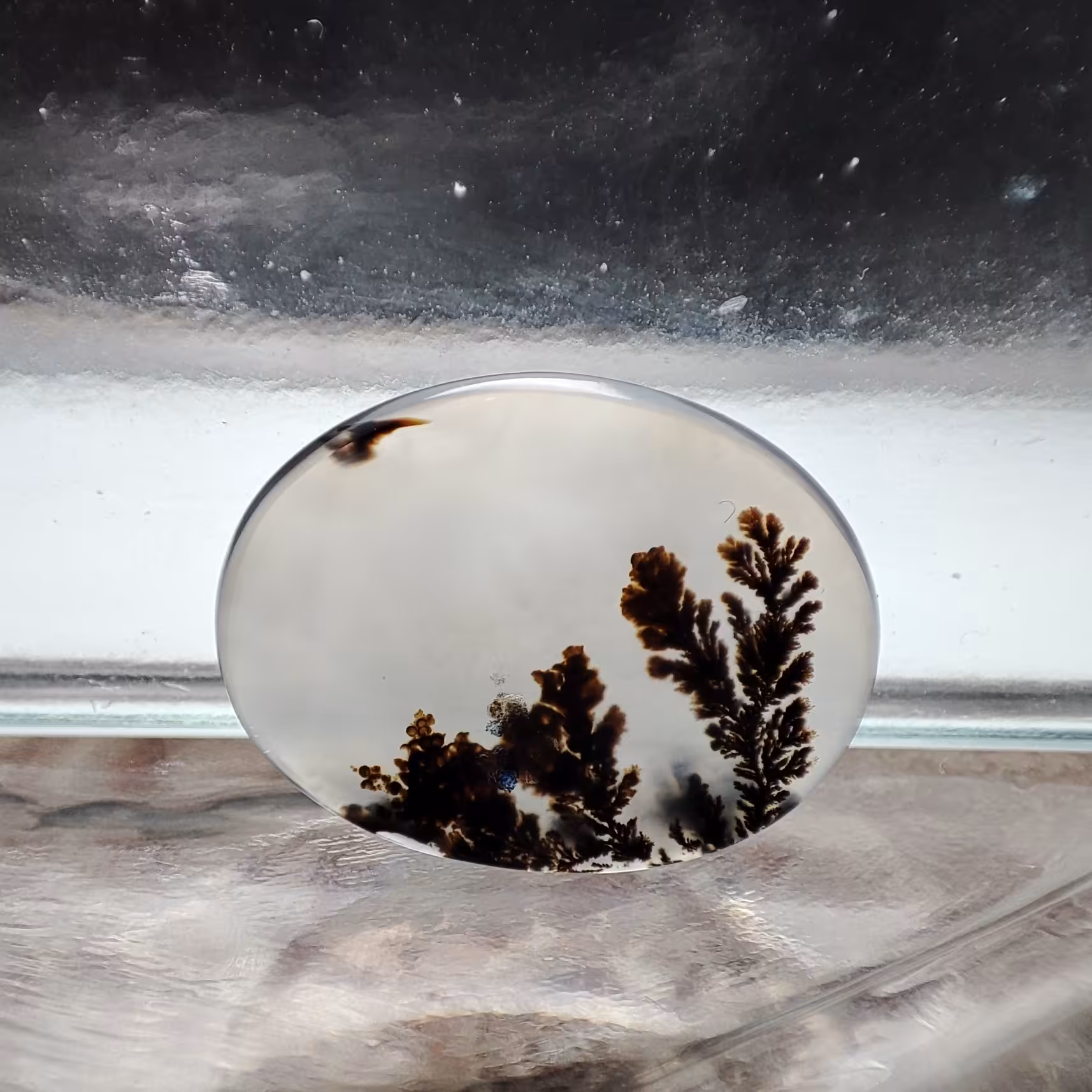 شجر قائن کلکسیونی طبیعی و معدنی کد 930