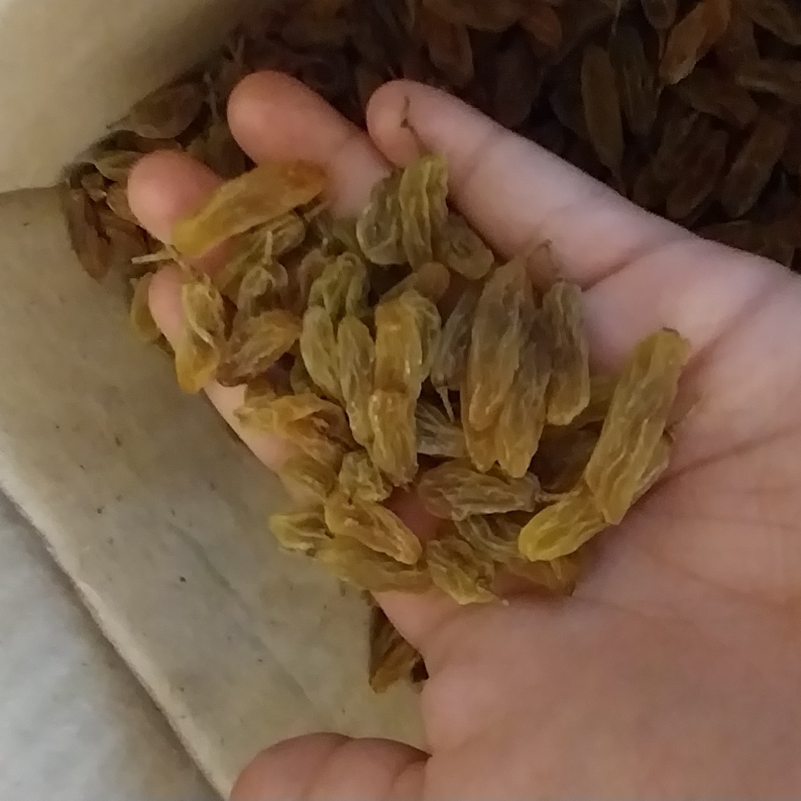 کشمش مدل سبز بی دود ارگانیک