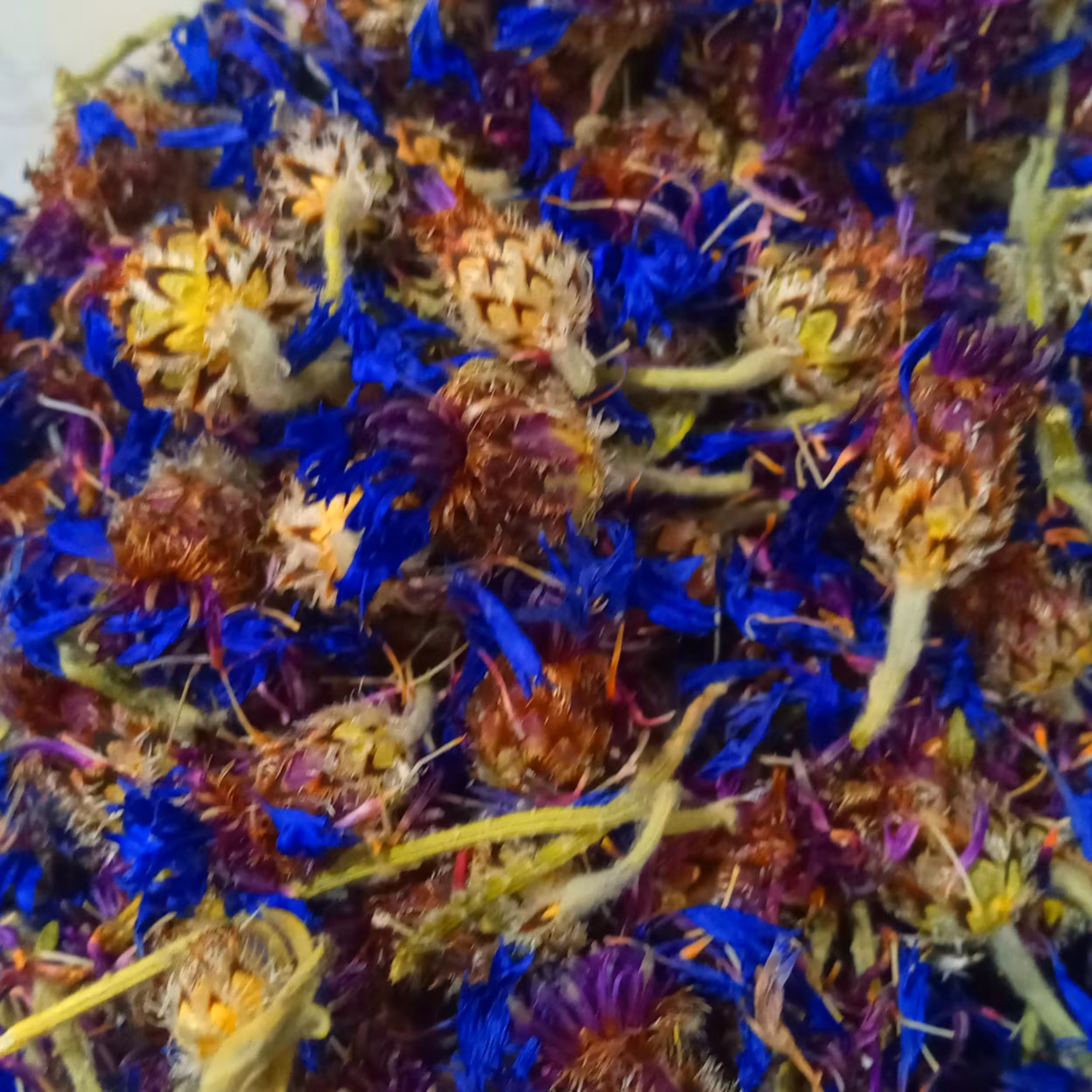 بوز باش درجه یک (گل گندم وحشی 100  گرمی