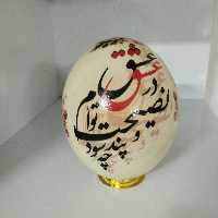 تخم شترمرغ طبیعی تزیینی 
