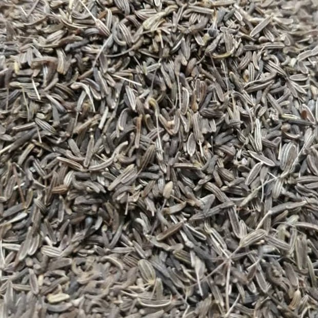 زیره سیاه کوهی اعلا و درجه یک 1000 گرمی