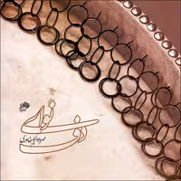 کتاب نوای دف