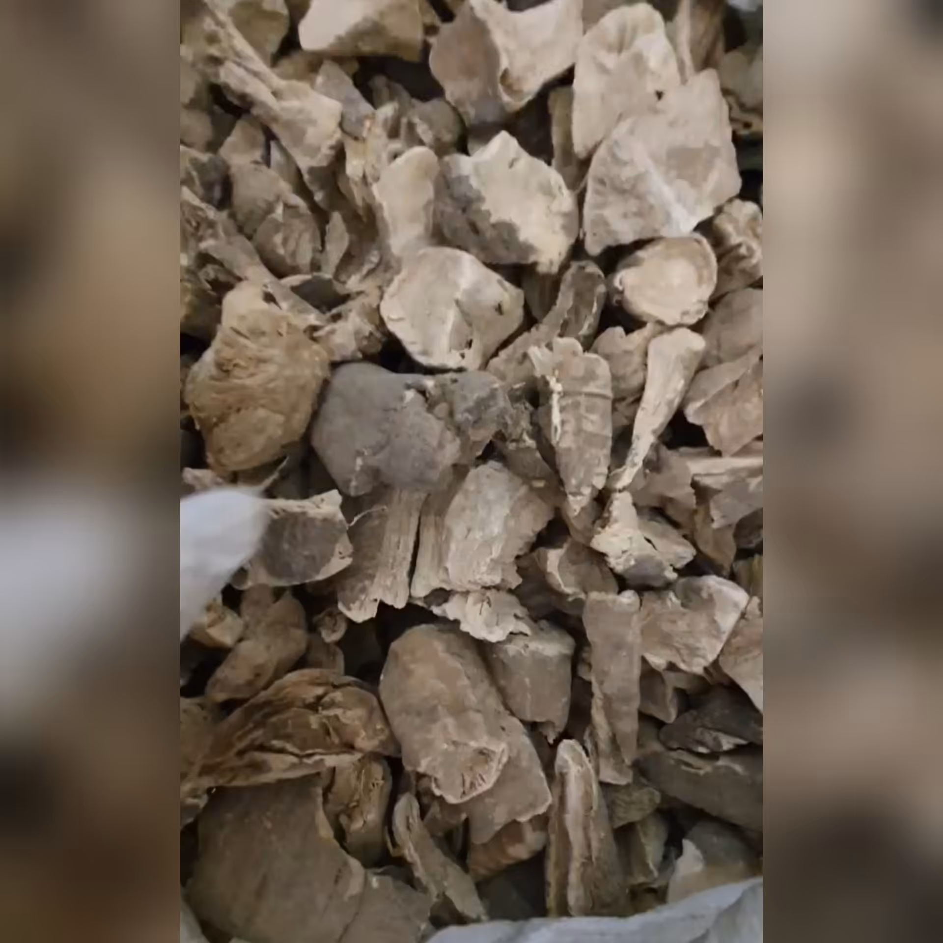 قسط شیرین 50 گرم 