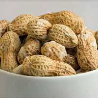 بادام زمینی باپوست فدک شعبه 5 (250گرم)

