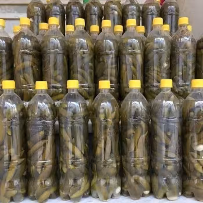 دو  عدد خیارشور ویژه سرکه نمکی بطری خانواده بسیار خوشمزه و بهداشتی و با کیفیت و ترد