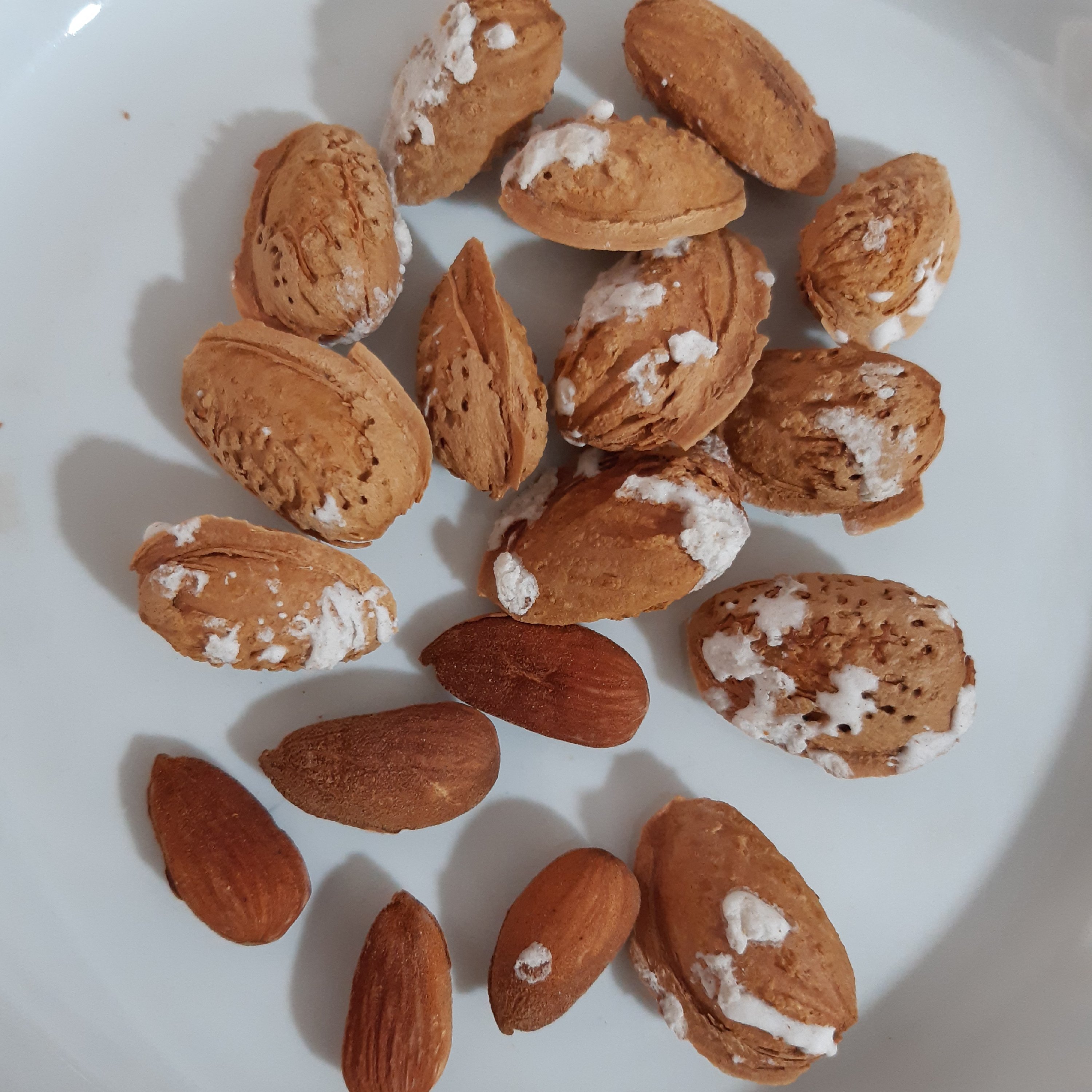 بادام درختی پوست کاغذی بو داده(250گرم)