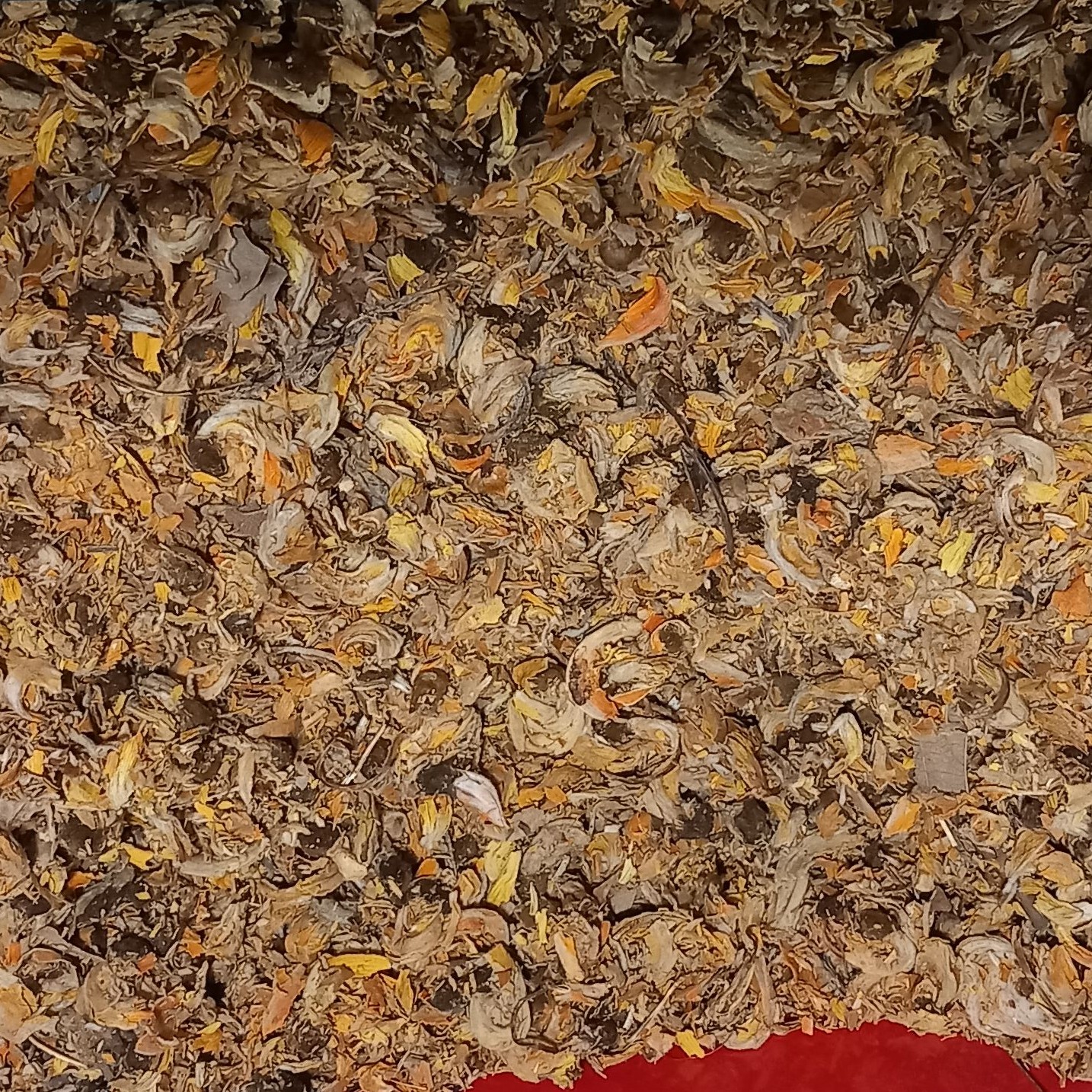 چای کوهی 250 گرم