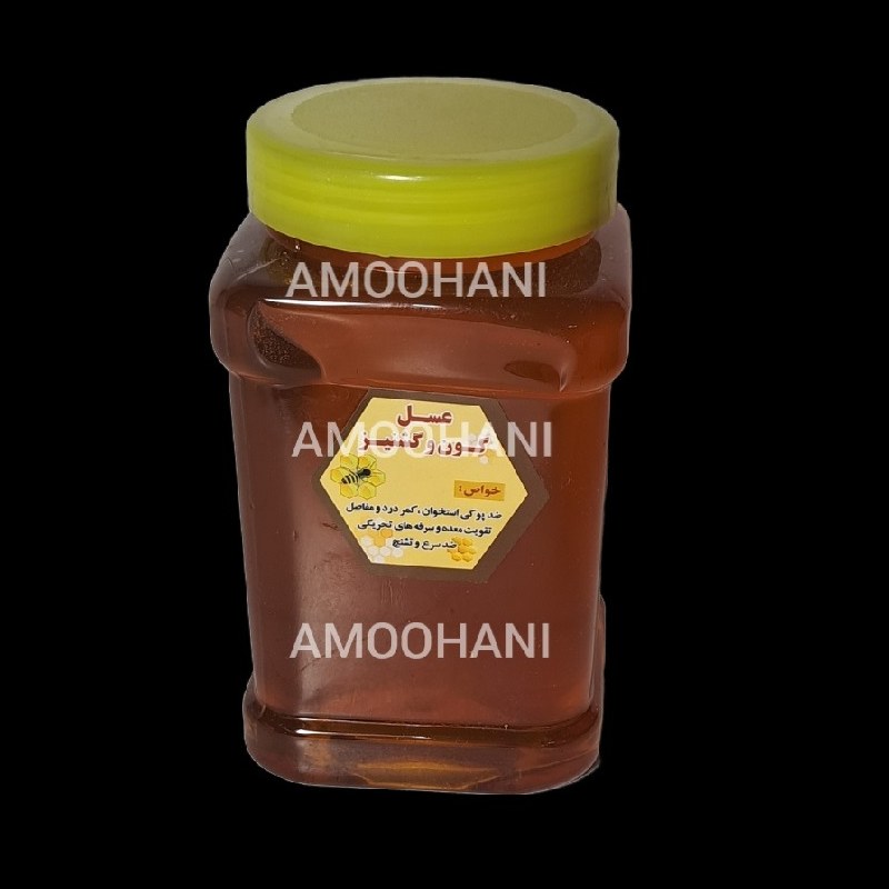 عسل یک کیلویی گون گشنیز