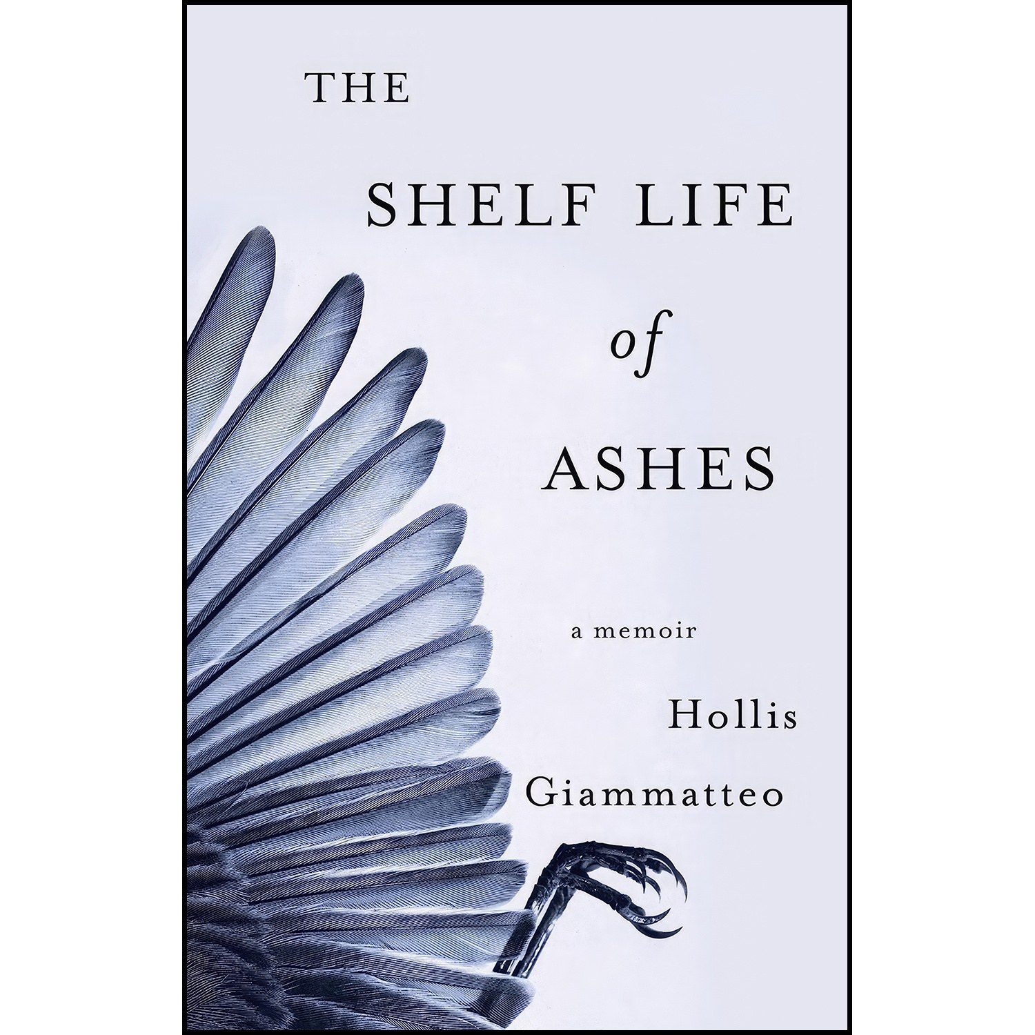 کتاب زبان اصلی The Shelf Life of Ashes اثر Hollis Giammatteo