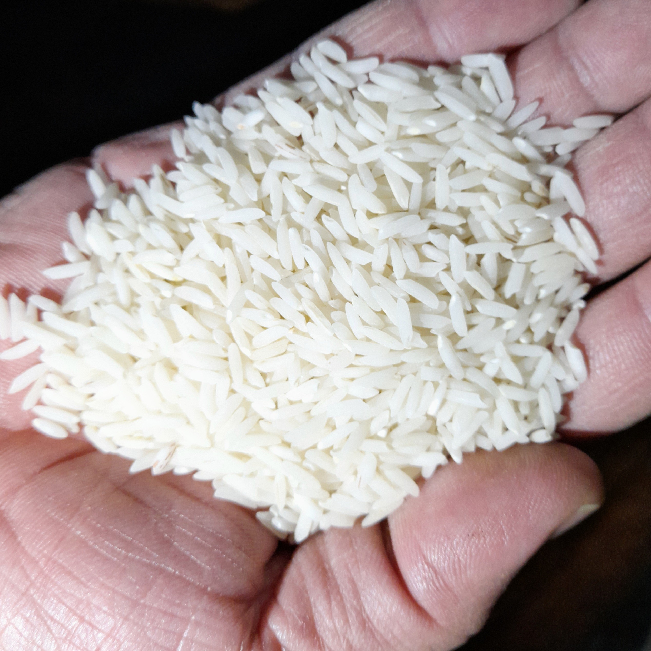 برنج هاشمی درجه یک امساله  بسته بندی 10 کیلویی شهرستان نور