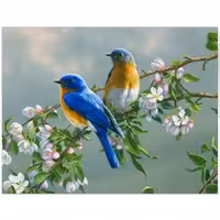 تابلو رنگ روغن کد 34