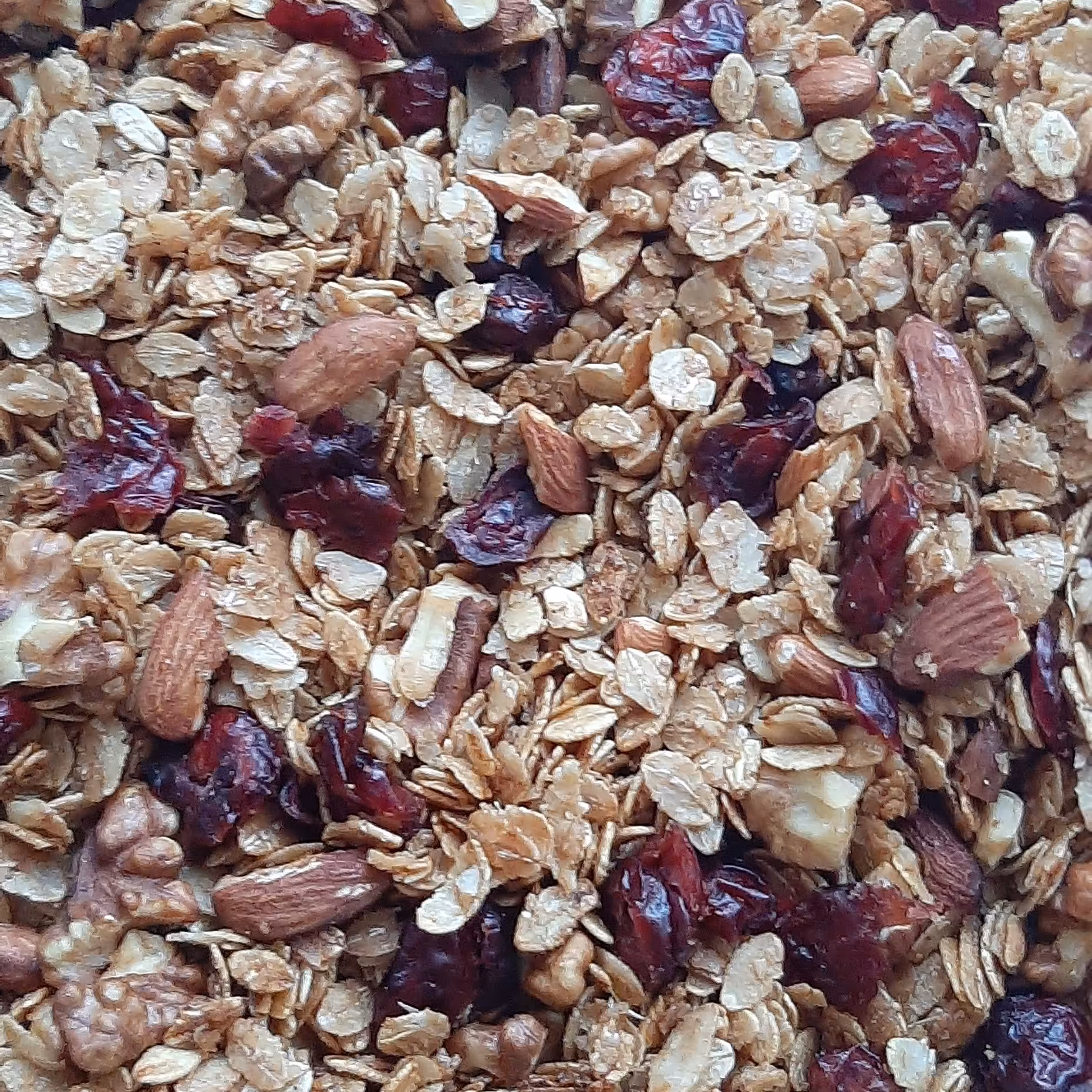 گرانولا خانگی بادام و کرنبری 250 گرم با عسل و دارچین