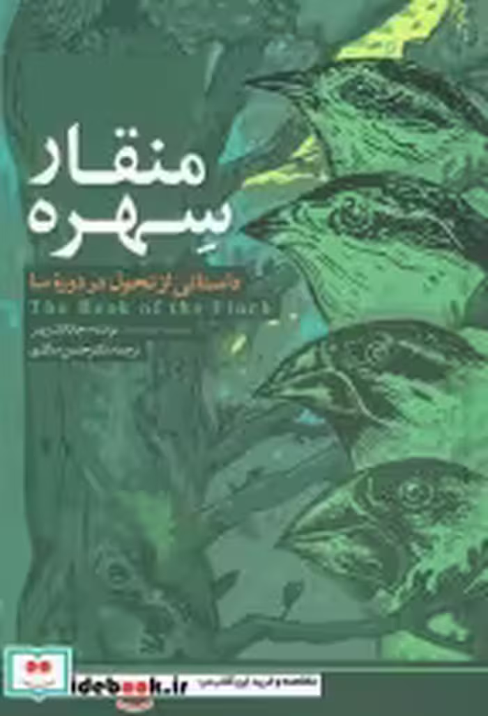 قیمت و خرید کتاب منقار سهره داستانی از تحول در دوره ما | ایده بوک