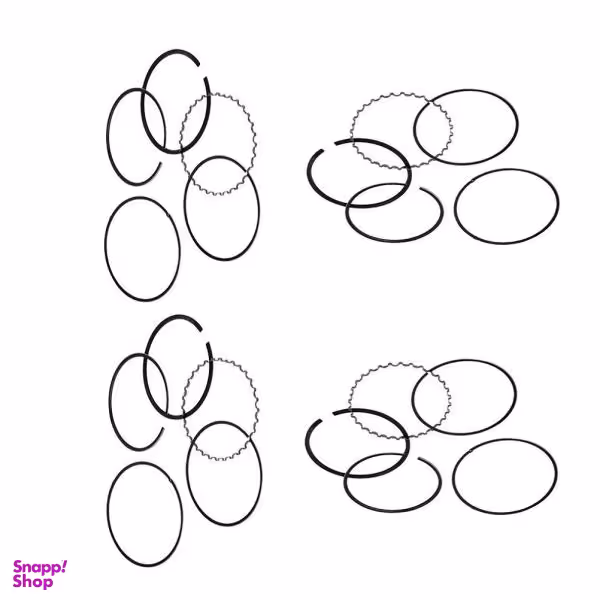 رینگ موتور ریک کد 40842 مناسب برای پژو 206 بسته 20 عددی