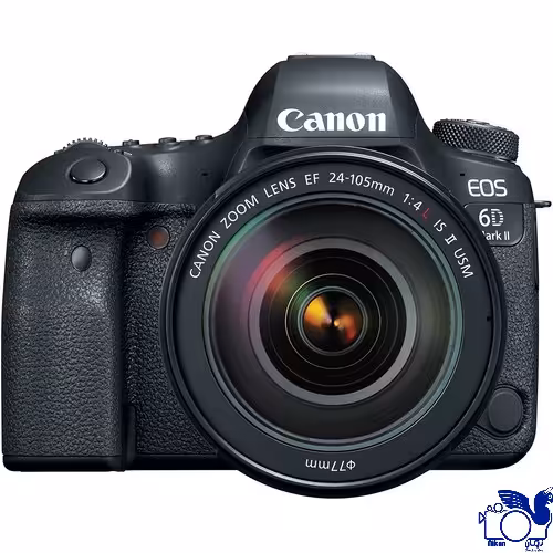 Canon EOS 6D Mark II DSLR Camera with 24-105mm f/4 L II USM