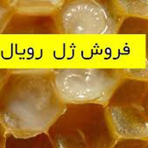 ژل رویال