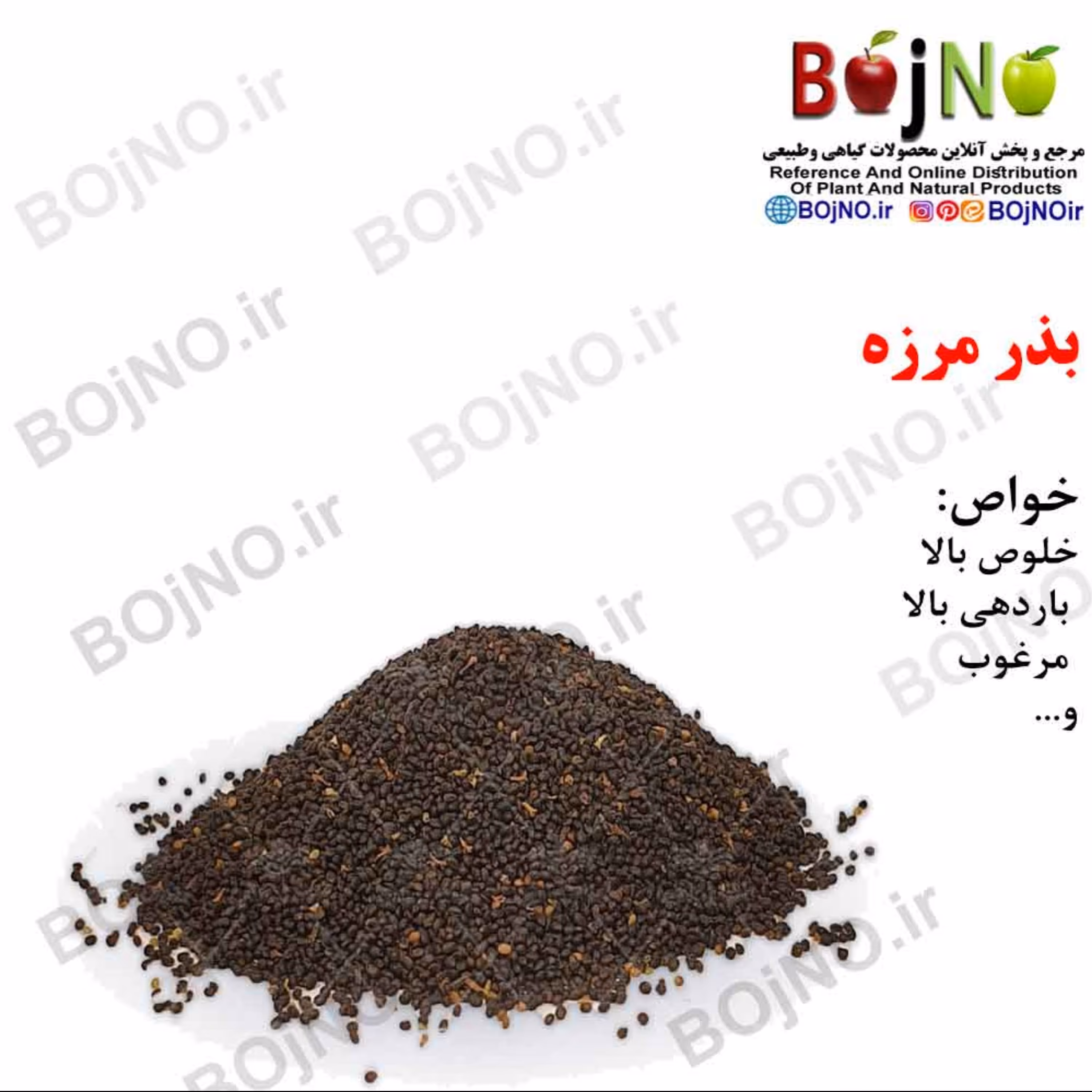بذر مرزه 100گرمی