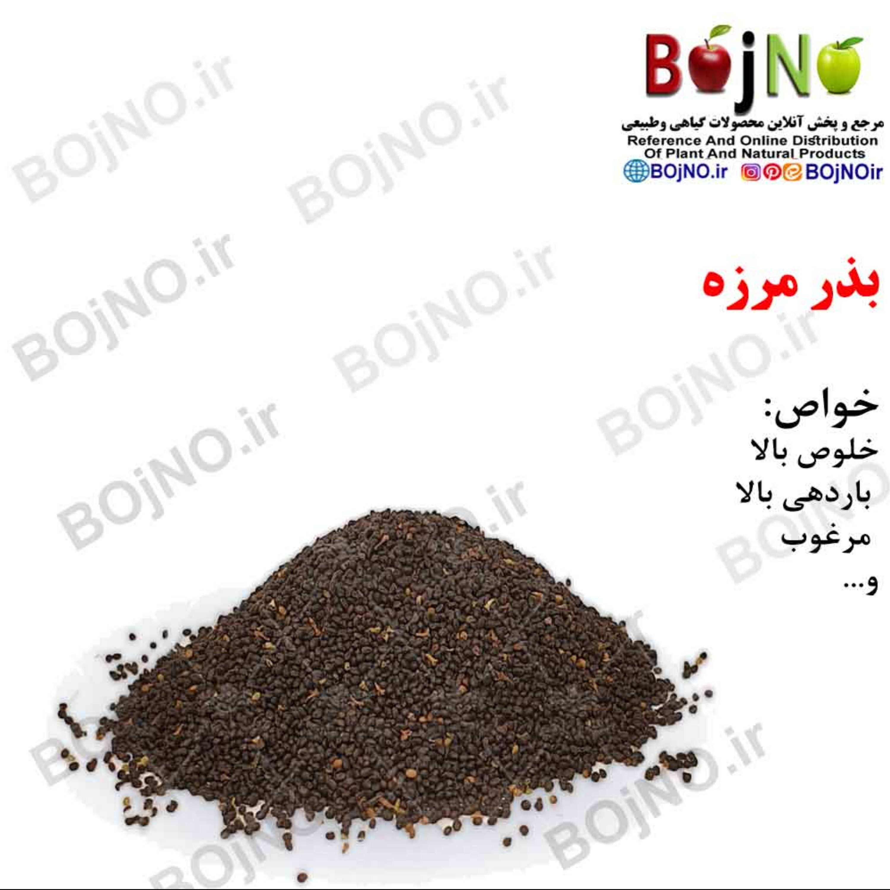 بذر مرزه 100گرمی