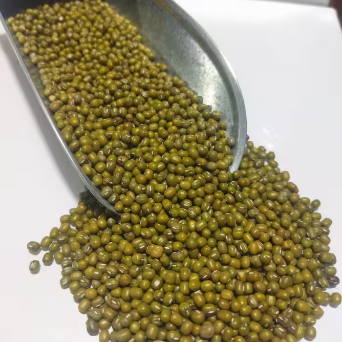 ماش  پزا یک کیلویی شریفه 