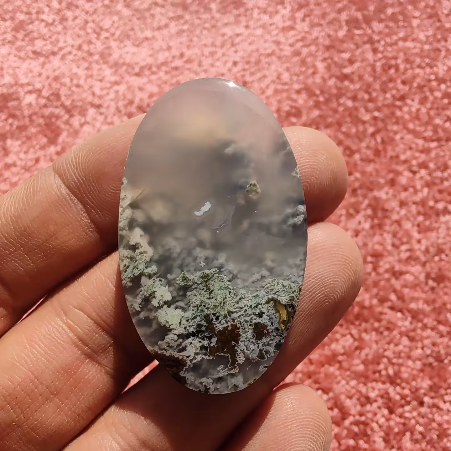 عقیق شجر منظره جنگلی 