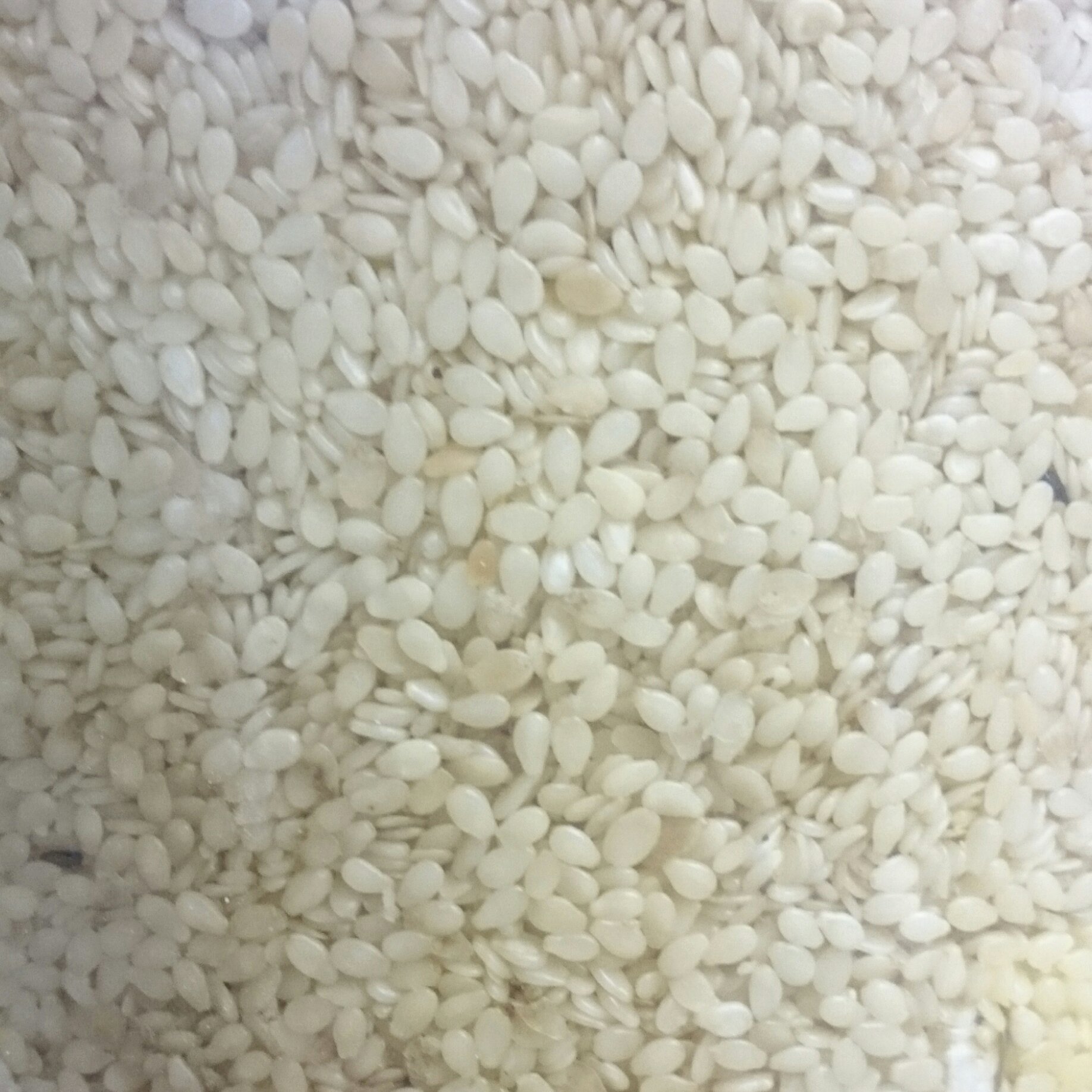 کنجد سفید روغنی بدون پوست ایرانی