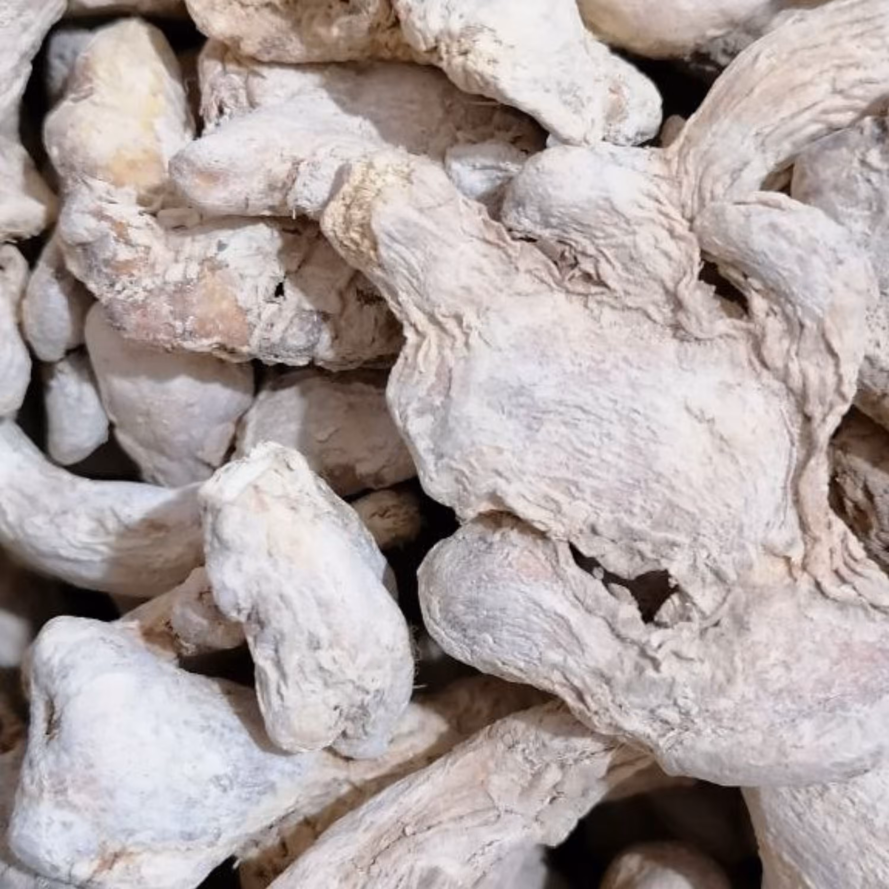 زنجبیل چینی 100 گرمی بدون نخ ریشه هل و فلفل