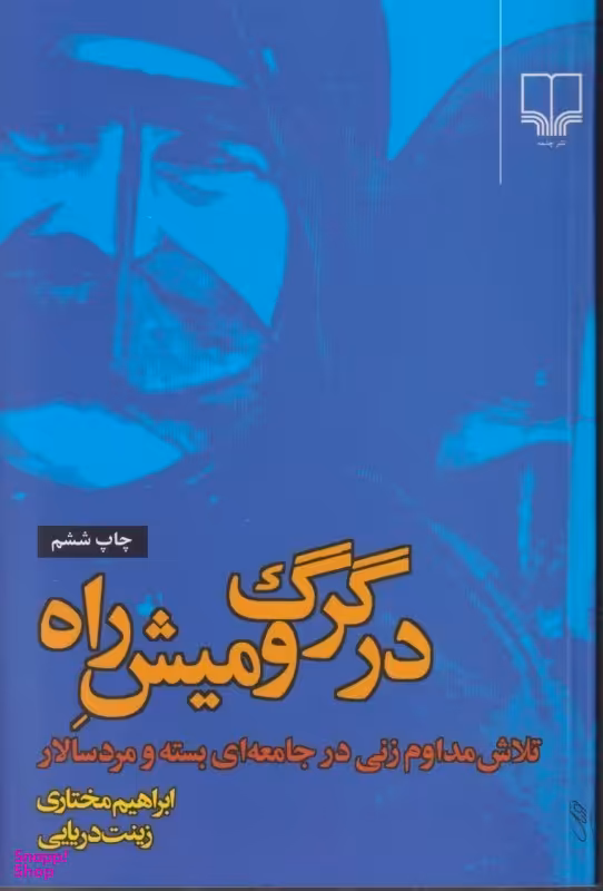 در گرگ و میش راه