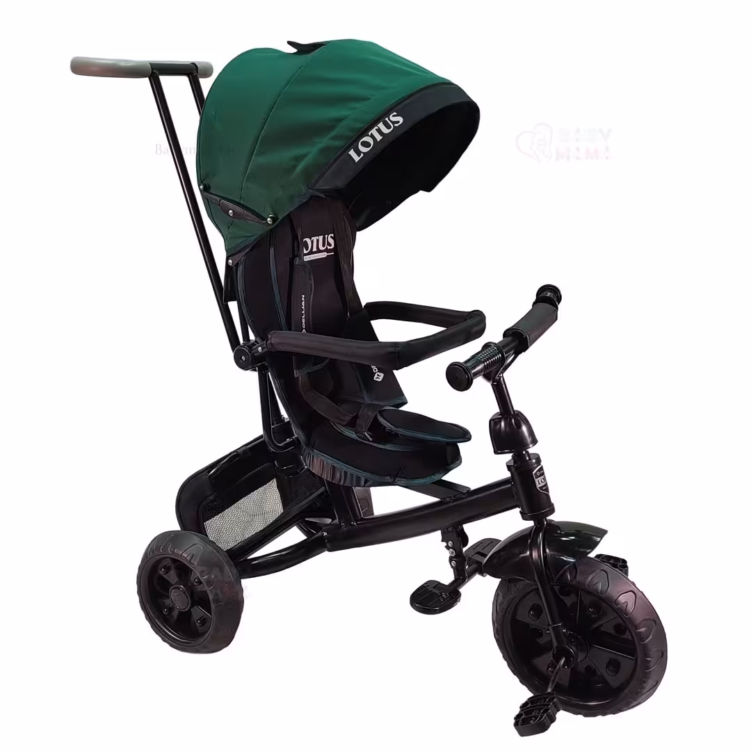 کالسکه و سه چرخه دو کاره لوتوس6ماه به بالا