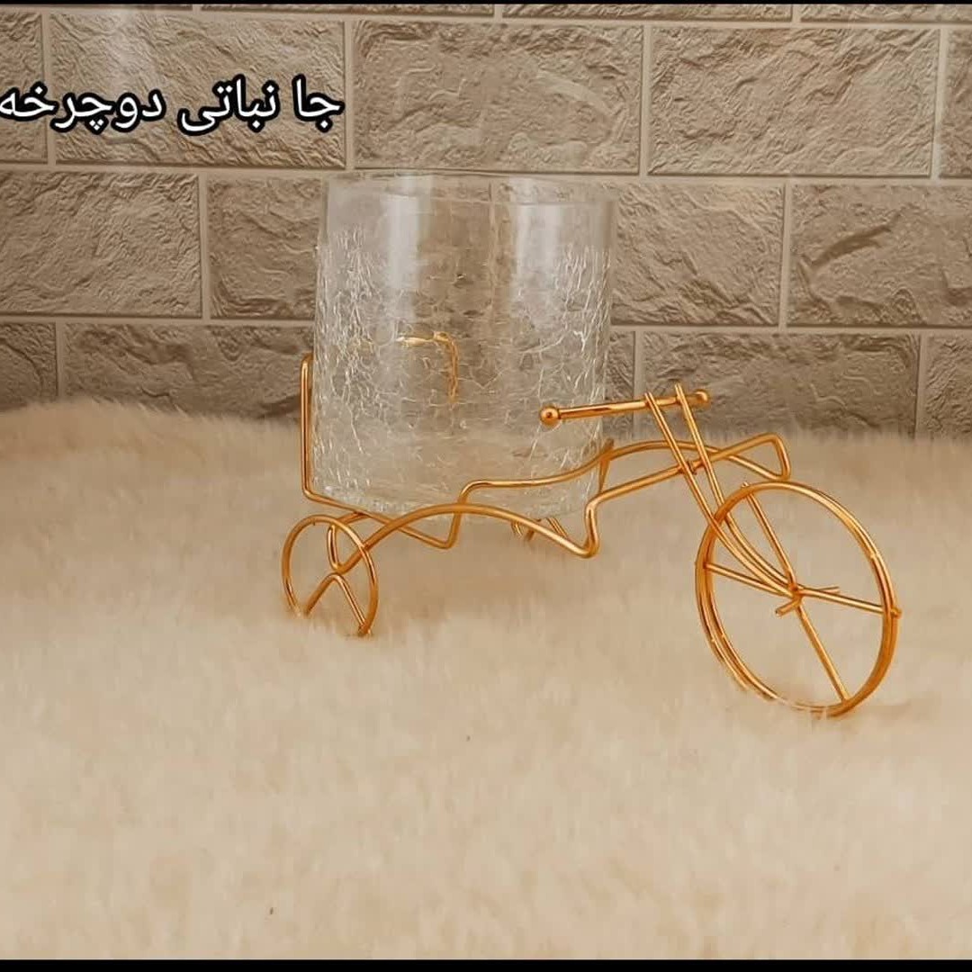 جا نباتی دوچرخه