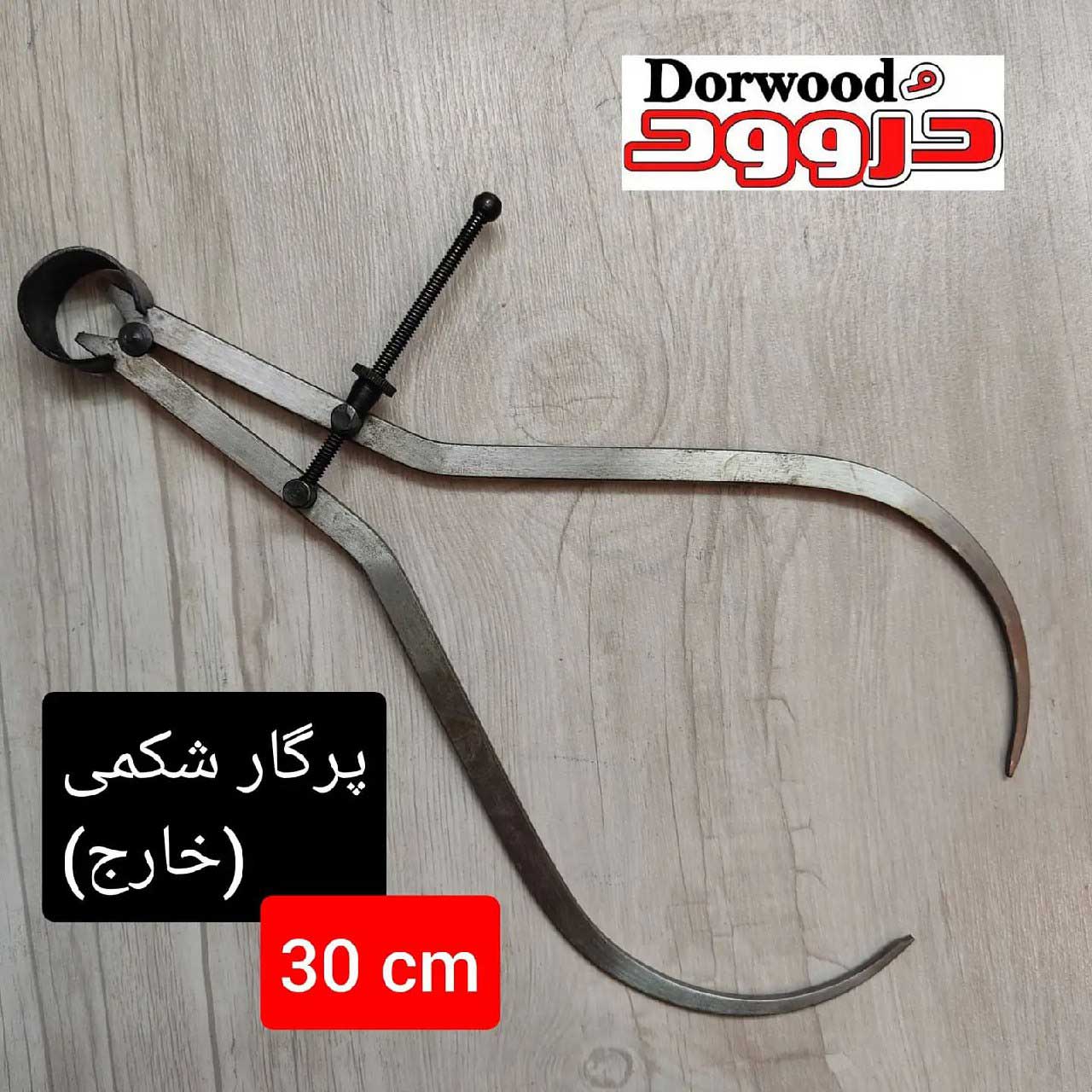 پرگار شکمی