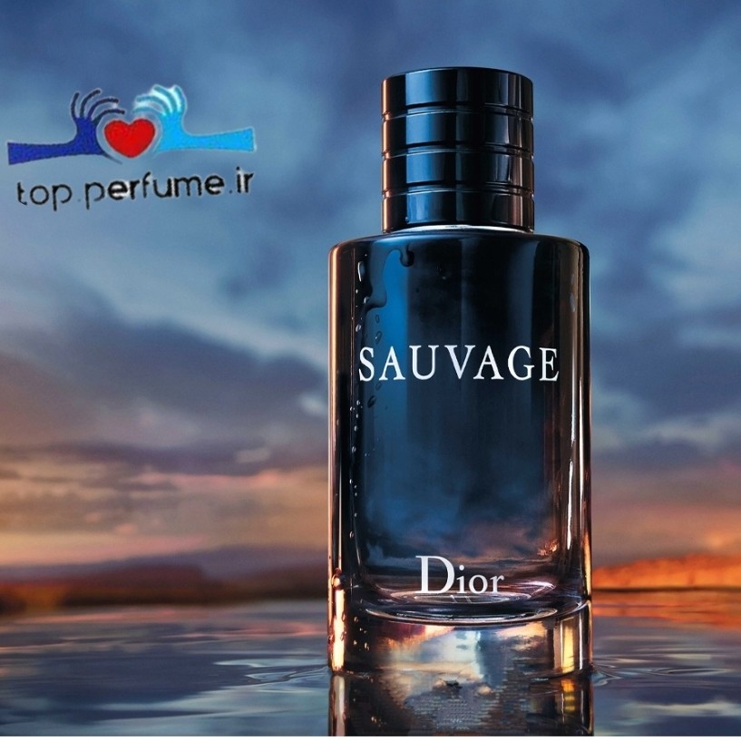عطر ادکلن دیور ساواج-ساوج-ساواژ

عطری مردانه و سلطنتی 