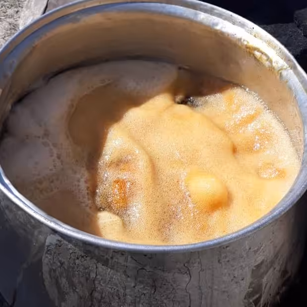 رب گوجه فرنگی با طعم و رنگ بی نظیر, شیره انگور  دستچین شده ازبهترین تاکستانها انواع ترشیجات به روش محلی انواع لبنیات م