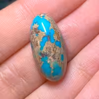 نگین فیروزه نیشابوری کاملا طبیعی بسیار فاخر محشر  خوش رنگ و زیبا سایز مدالی تراش بیضی
کد محصول241