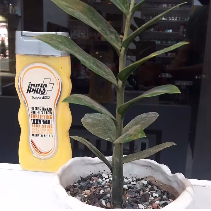 شامپو آی پلاس