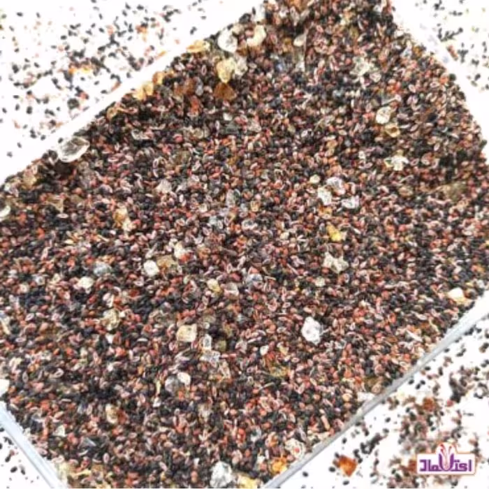 چهارتخم یک کیلویی (چهارتخمه )