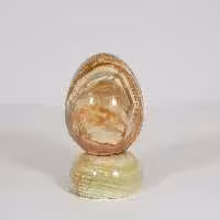 تخم مرغ مرمر