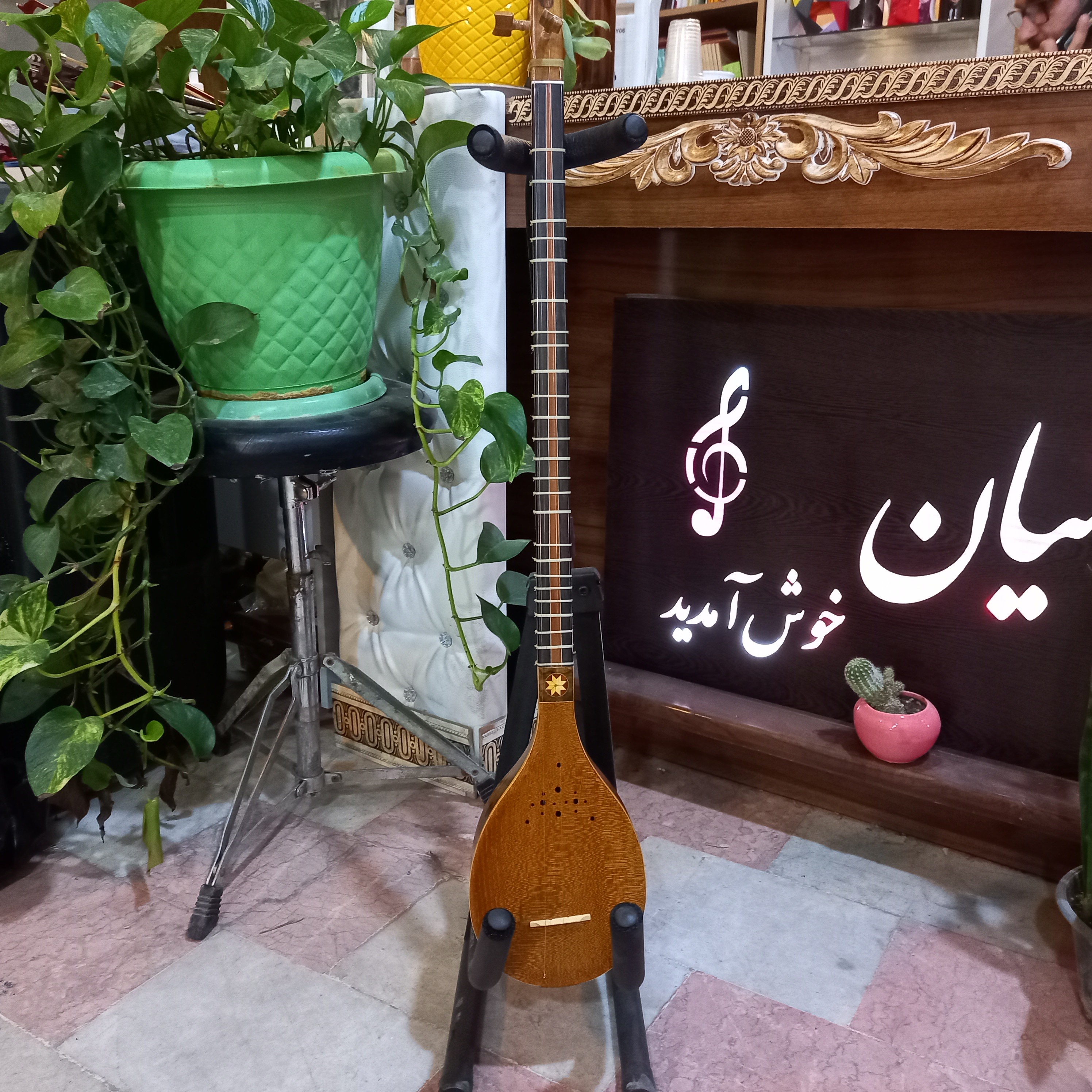 (سه تار ذوالقدر  همراه با هاردکیس)