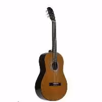 گیتار پارسی مدل فرد ( همراه کاور پیک ضمانت  1 ساله کتبی و ارسال رایگان ) 