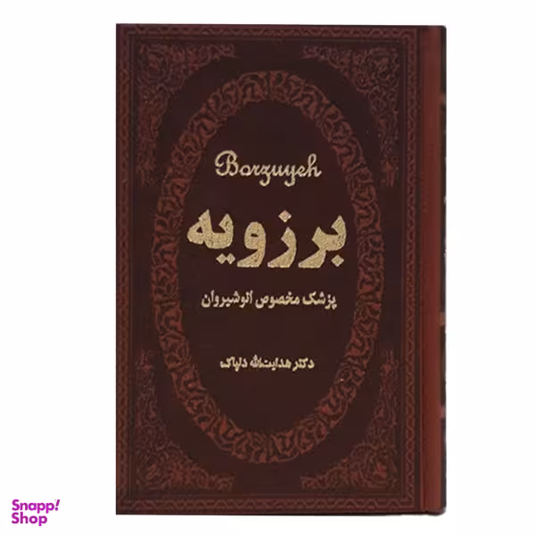 کتاب برزویه اثر هدایت اله دلپاک نشر پارمیس