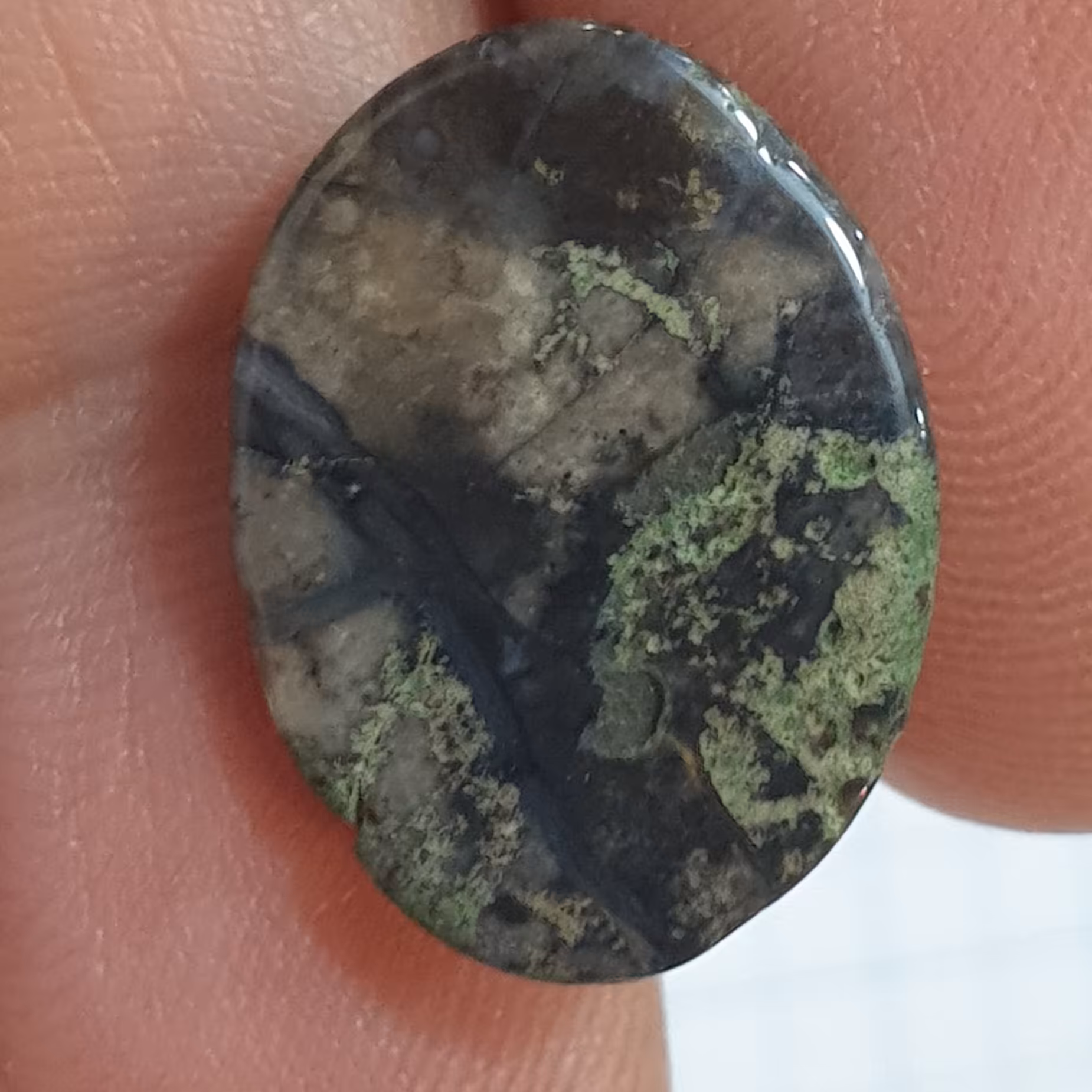 نگین عقیق شجر سیاه با کناره جلبکی زیبا