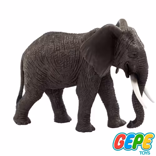 فیگور فیل آفریقایی