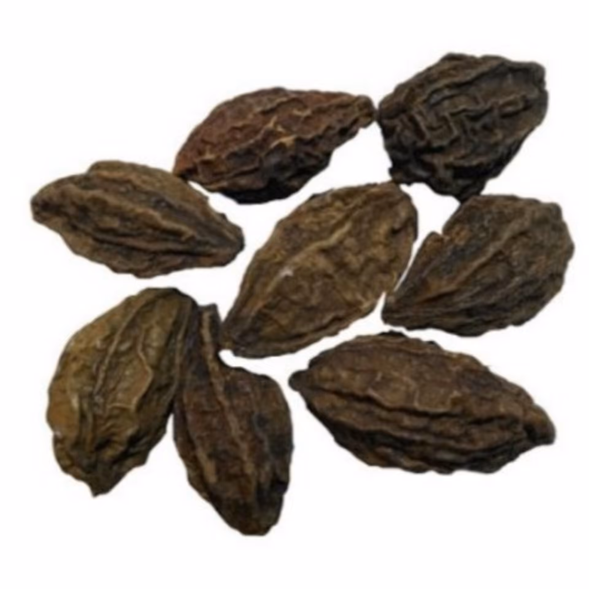 هلیله کابلی (50 گرمی) 